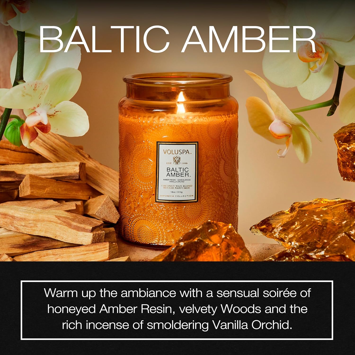 Baltic Amber Candle 18 oz Coco - Amber Jar Candle ulasan dan harga