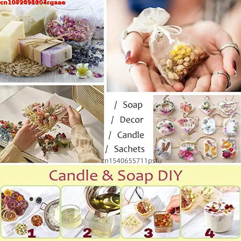 Premium Natural Dry Flower For - Home Fragrance Jasmine ulasan dan harga