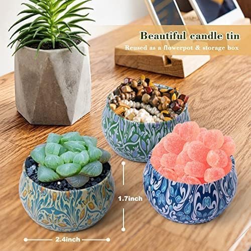 Scented Soy Wax Candles Set, 1 - Home Fragrances ulasan dan harga