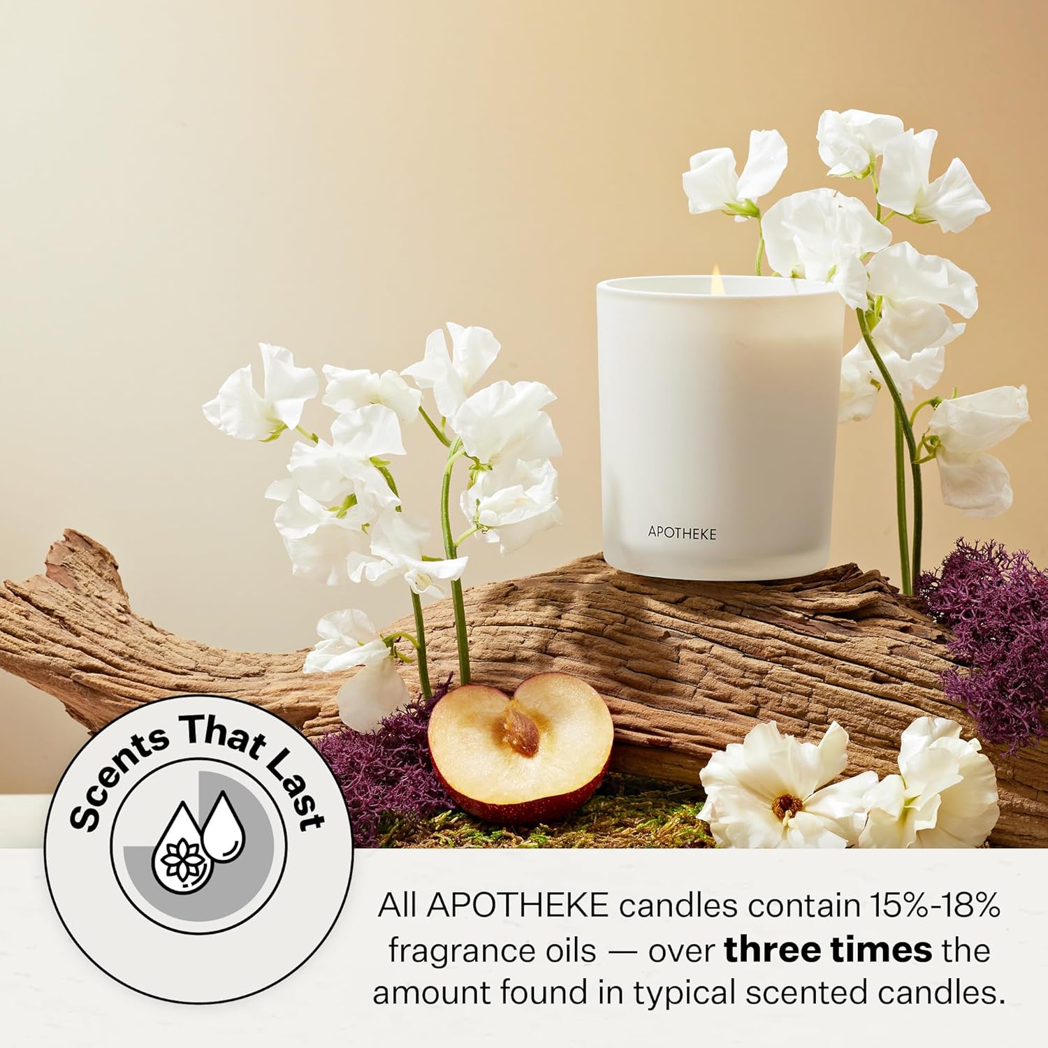 3-Wick Scented Soy Candle, Cha - Amber Jar Candle ulasan dan harga